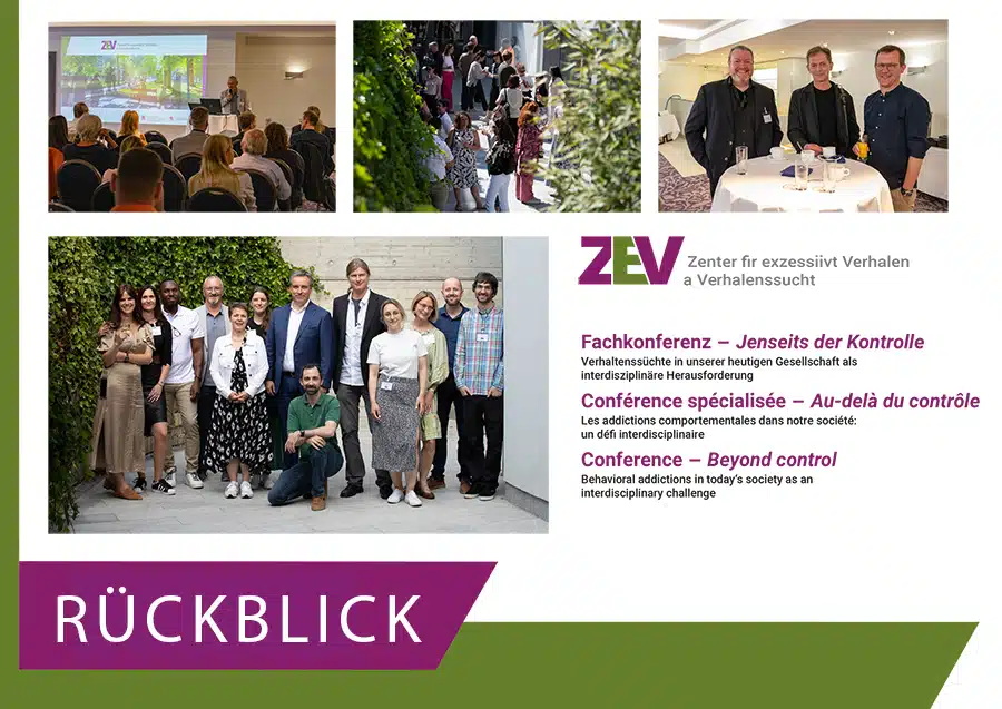 Einladung Fachkonferenz ZEV Rueckblick klein